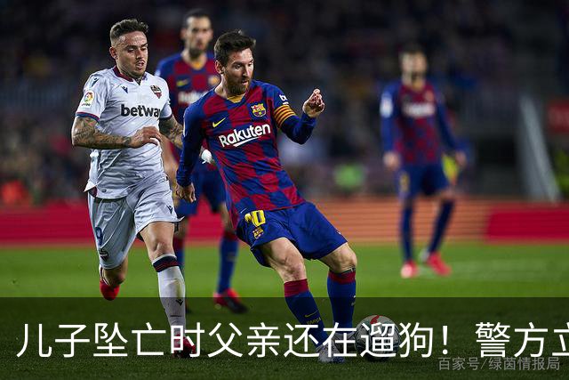 儿子坠亡时父亲还在遛狗！警方立案，母亲曝光铁证，果然有阴谋