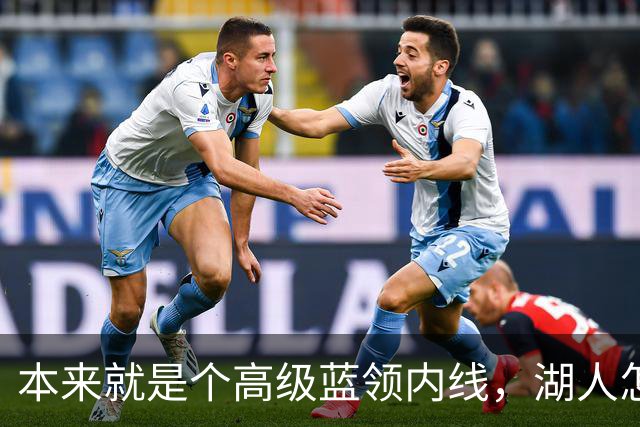 本来就是个高级蓝领内线，湖人怎么能指望他做到面面俱到？