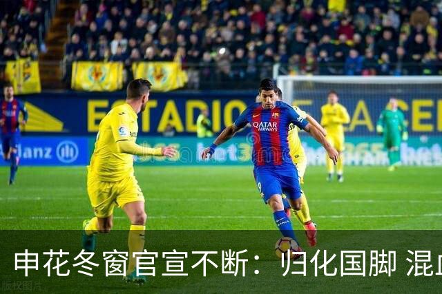 申花冬窗官宣不断：归化国脚 混血前锋 教练组有新人
