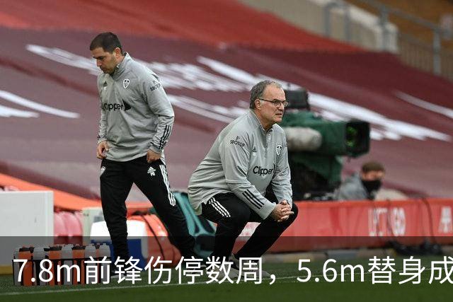 7.8m前锋伤停数周，5.6m替身成首选